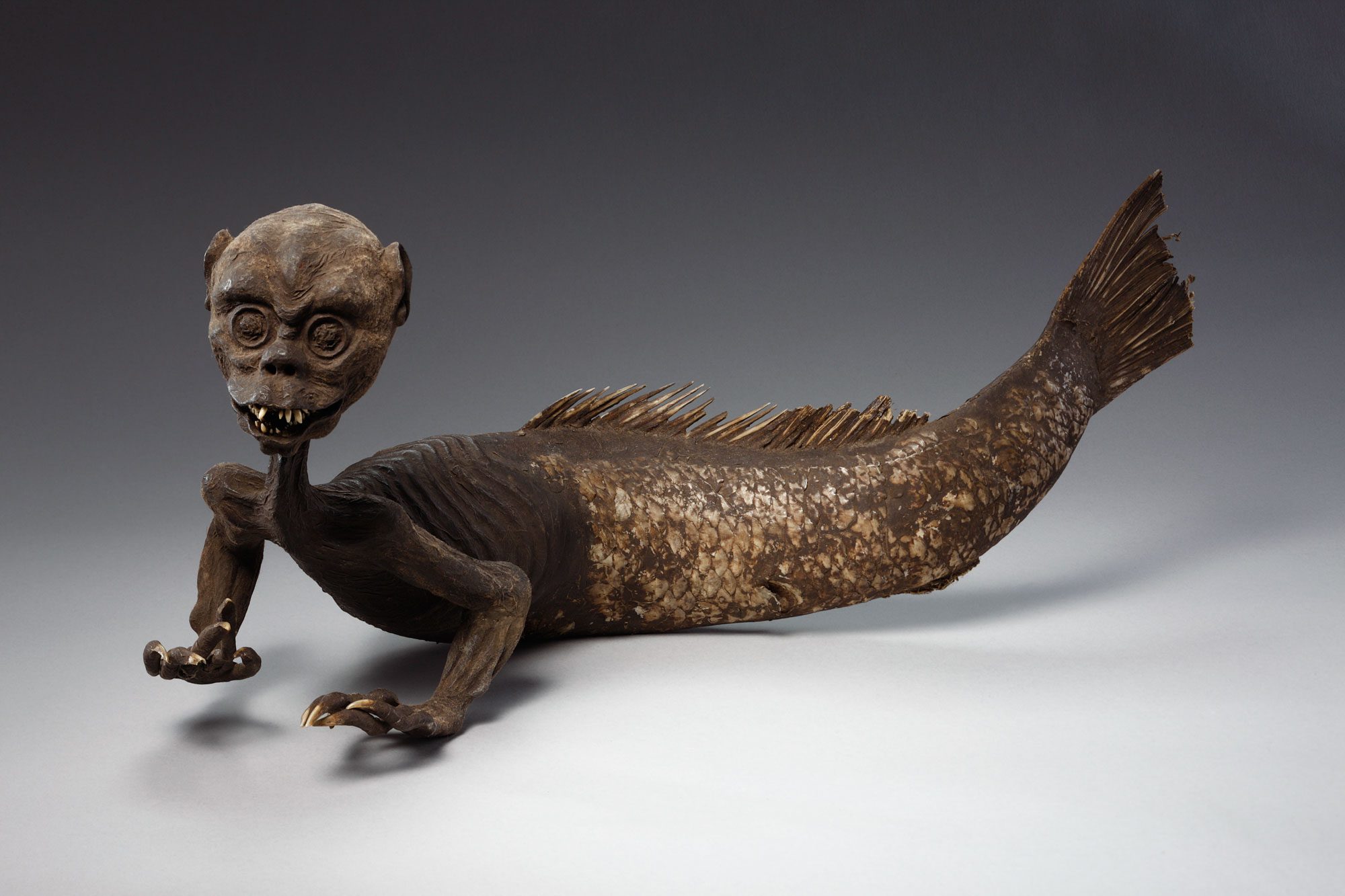Japanese Monkey-fish - Wellcome Collection in 1919