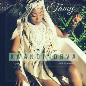 Tamy Moyo - Kwandinobva