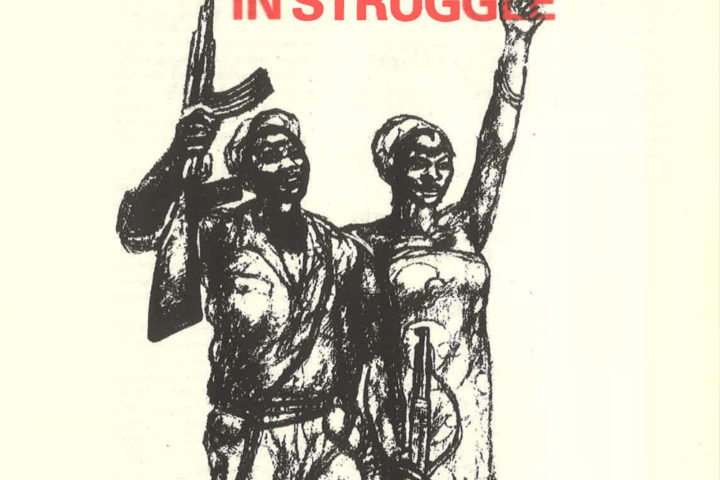 Women's Role In Struggle